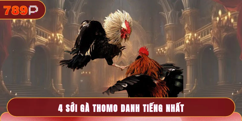 4 sới gà Thomo danh tiếng nhất