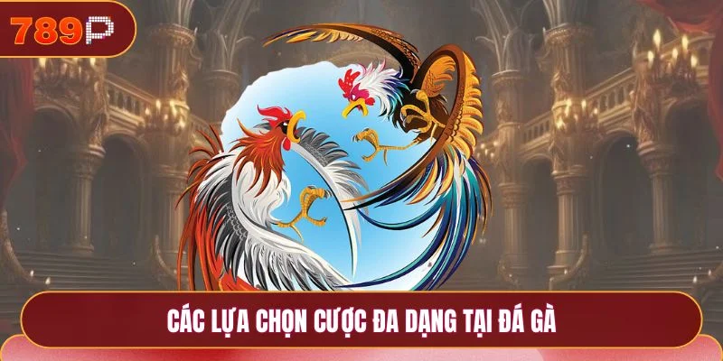 Đá Gà 789p - Khám Phá Sảnh Cược Online Uy Tín Nhất 2025 3 Các lựa chọn cược đa dạng tại đá gà