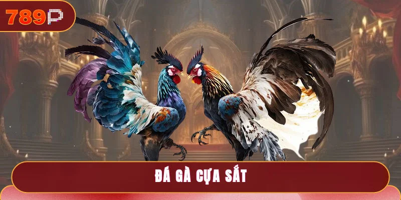 Đá Gà Cựa Sắt