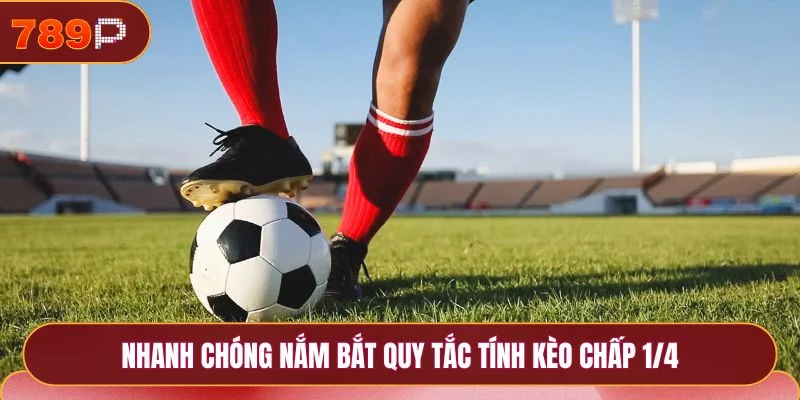 Nhanh chóng nắm bắt quy tắc tính kèo chấp 1/4