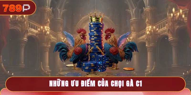 Những ưu điểm vượt trội của chọi gà C1