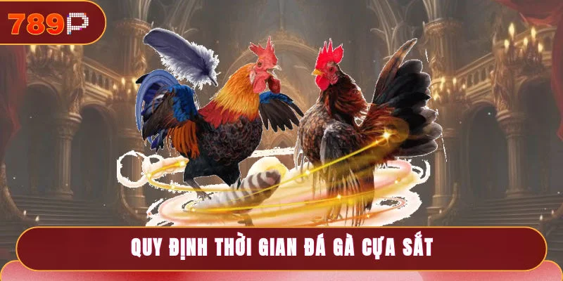 Quy định thời gian đá gà cựa sắt trong mỗi hiệp đấu