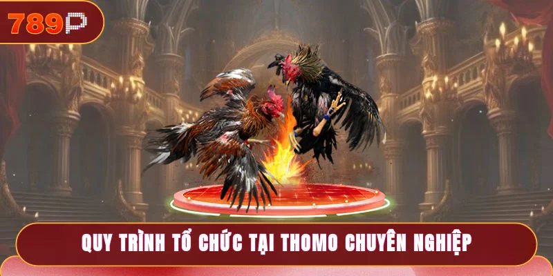 Quy trình tổ chức tại Thomo rất chuyên nghiệp