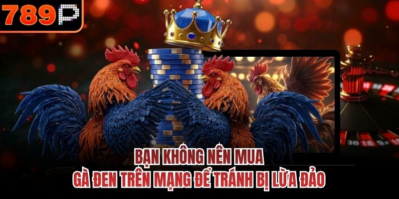  Bạn không nên mua gà đen trên mạng để tránh bị lừa đảo
