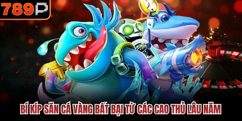 Bí kíp săn cá vàng bất bại từ các cao thủ lâu năm