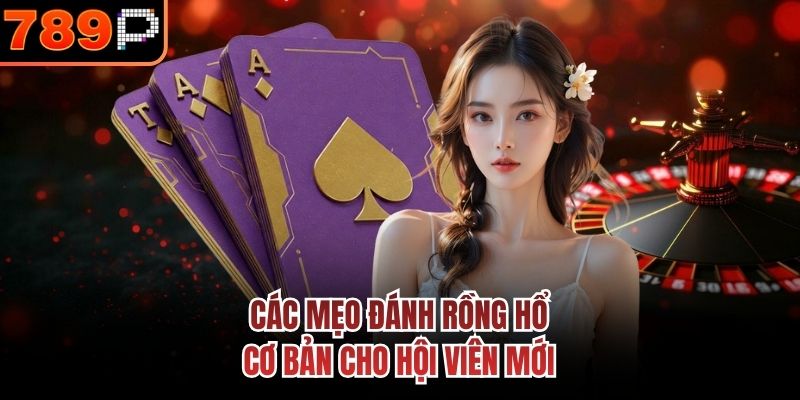 Các mẹo đánh Rồng Hổ cơ bản cho hội viên mới