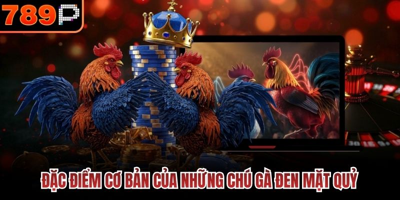  Đặc điểm cơ bản của những chú gà đen mặt quỷ