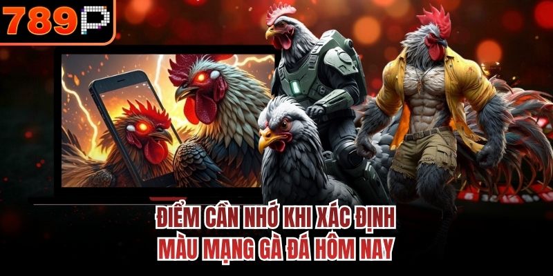Điểm cần nhớ khi xác định màu mạng gà đá hôm nay