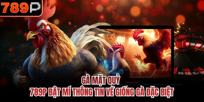  Gà mặt quỷ được nhiều người yêu thích bởi ngoại hình đen tuyền