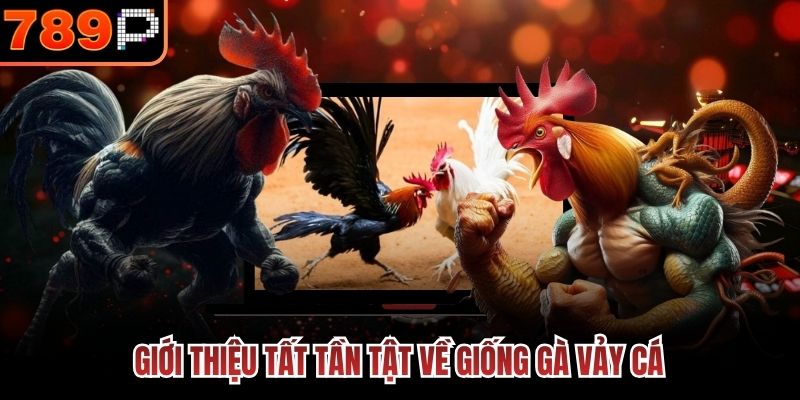 Giới thiệu tất tần tật về giống gà vảy cá