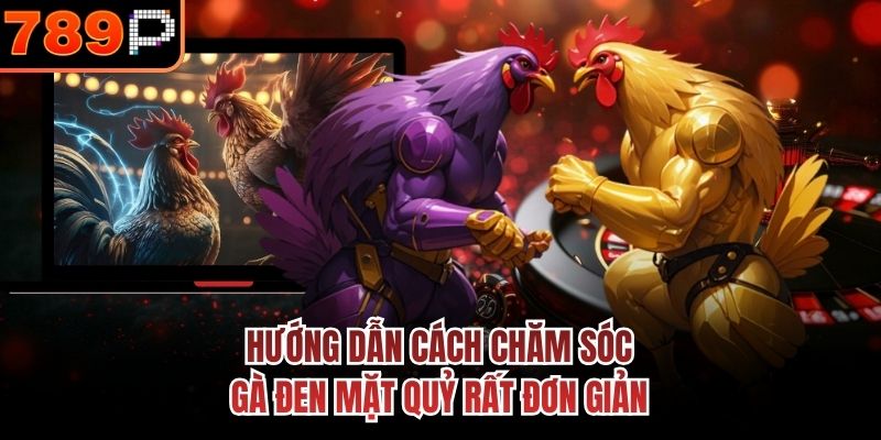  Hướng dẫn cách chăm sóc gà đen mặt quỷ rất đơn giản