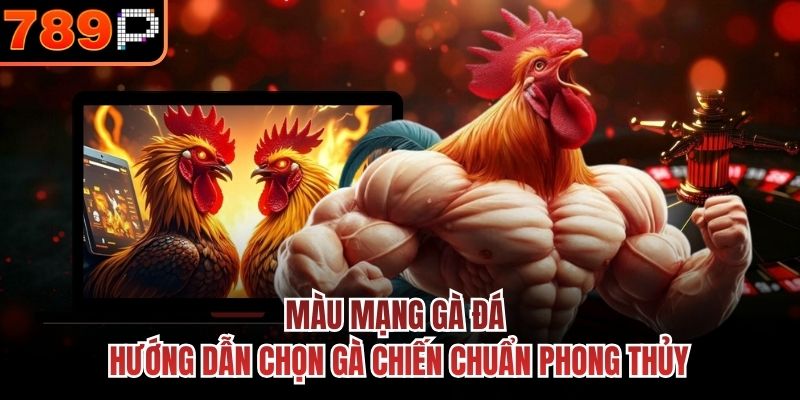 Màu mạng gà đá