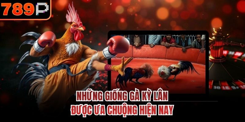 Những giống gà Kỳ Lân được ưa chuộng hiện nay