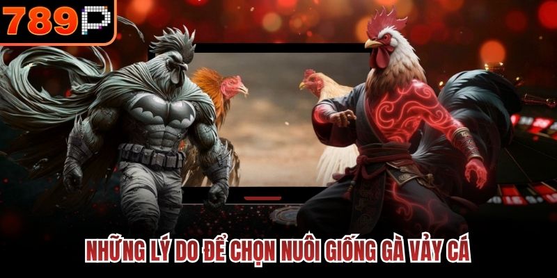 Những lý do để chọn nuôi giống gà vảy cá