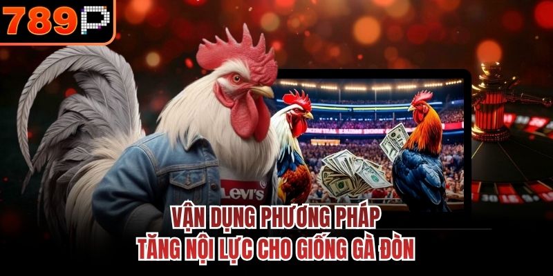 Vận dụng phương pháp tăng nội lực cho giống gà đòn