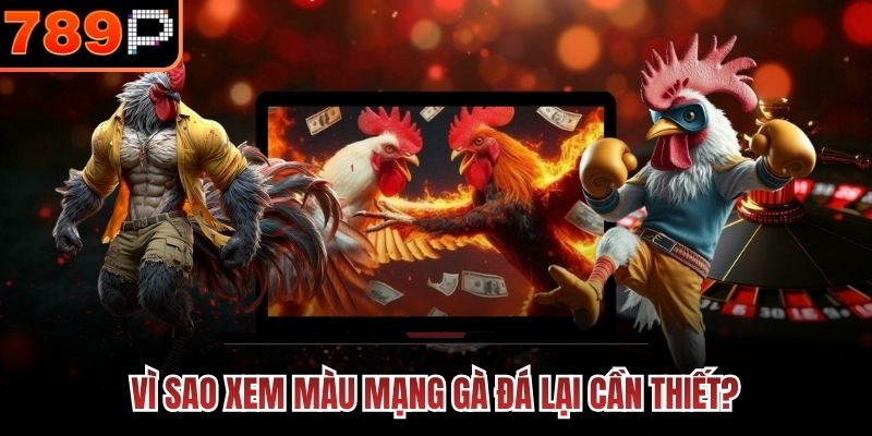 Vì sao xem màu mạng gà đá lại cần thiết?